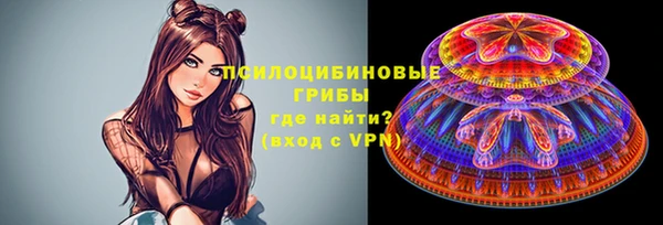 Альфа ПВП Ростов