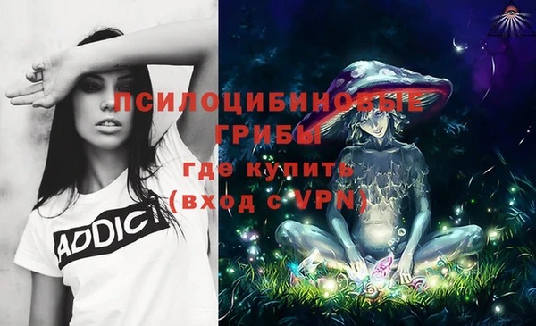 спайс Рославль