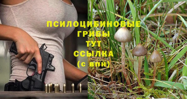 Альфа ПВП Ростов