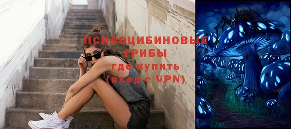 спайс Рославль