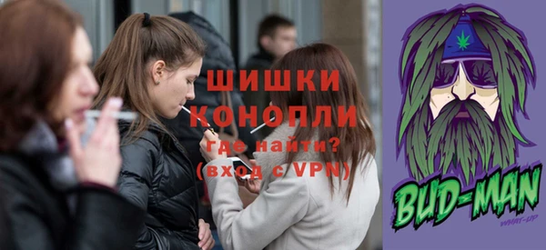 спайс Рославль