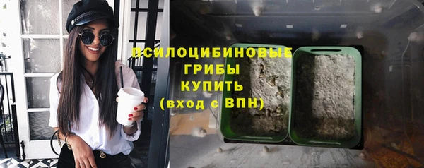 Альфа ПВП Ростов