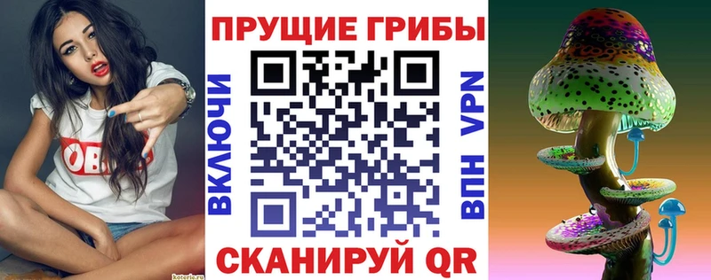 мега онион  Приволжский  Псилоцибиновые грибы Psilocybine cubensis 